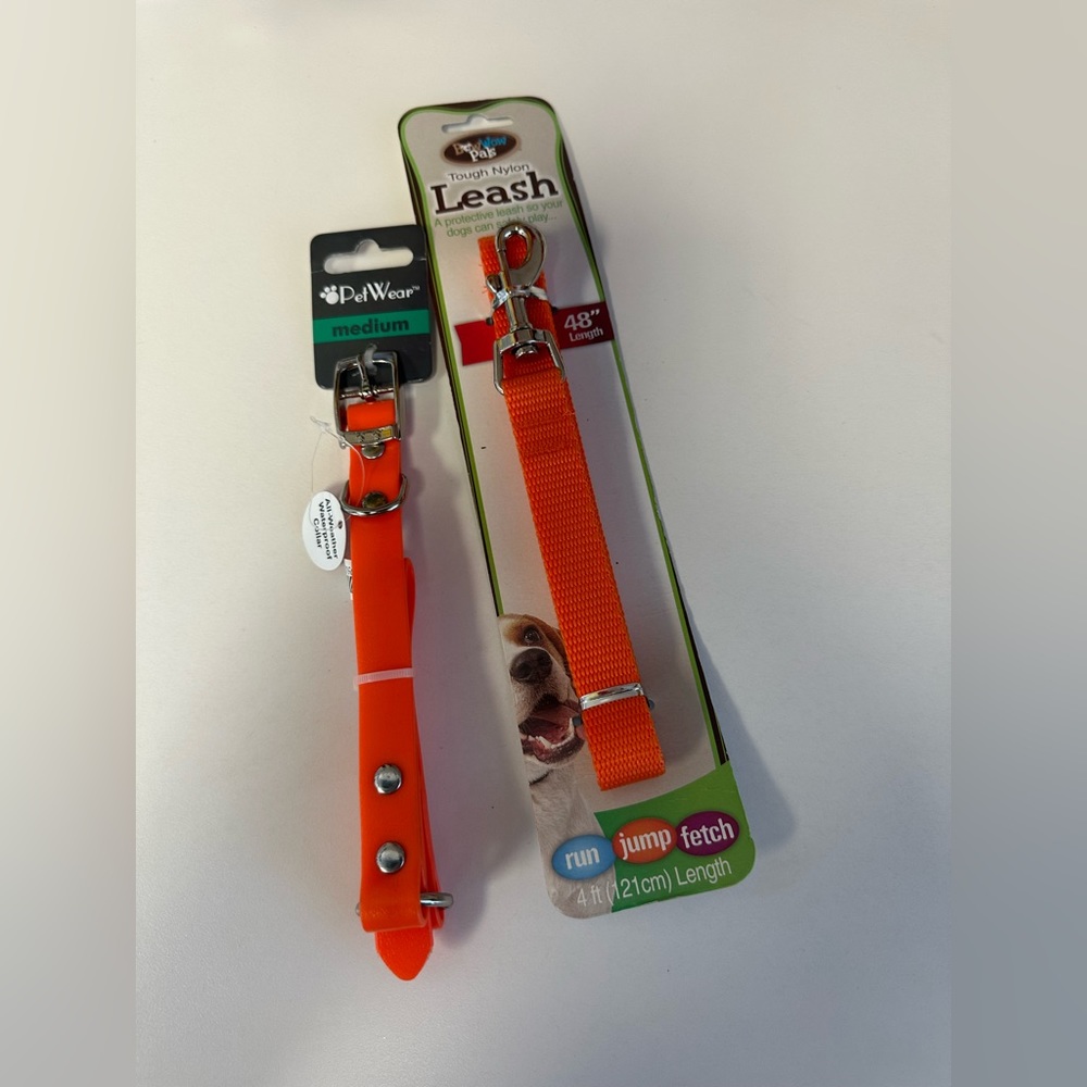 Orange Leash and Medium size Collar